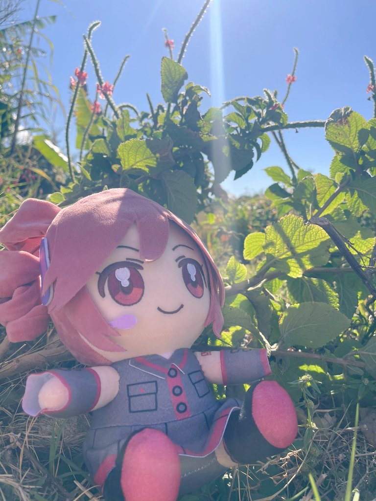 20_wolfboy's tweet image. Good morning