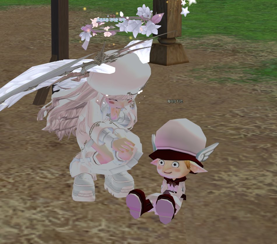 펫도 오랜만에 염색 ^.^