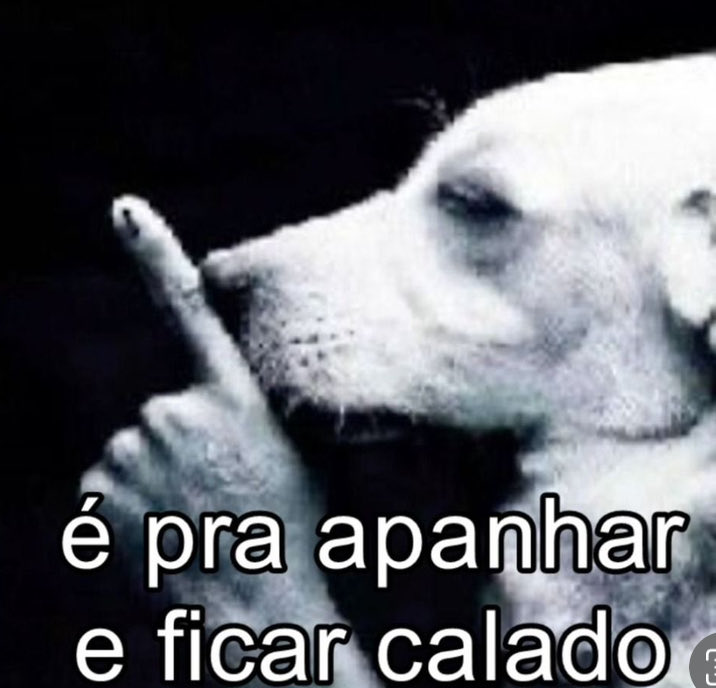 northdeviant's tweet image. me identificando mais doq gostaria