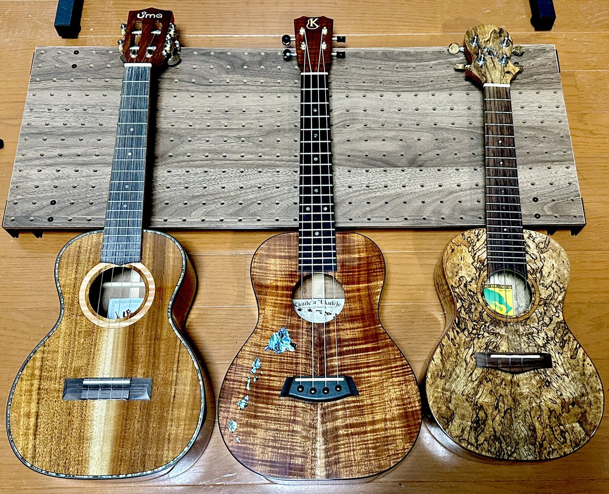 imaiyuki0130's tweet photo. #ギターをすこれ
#caparison https://t.co/Y69j0WYMNX