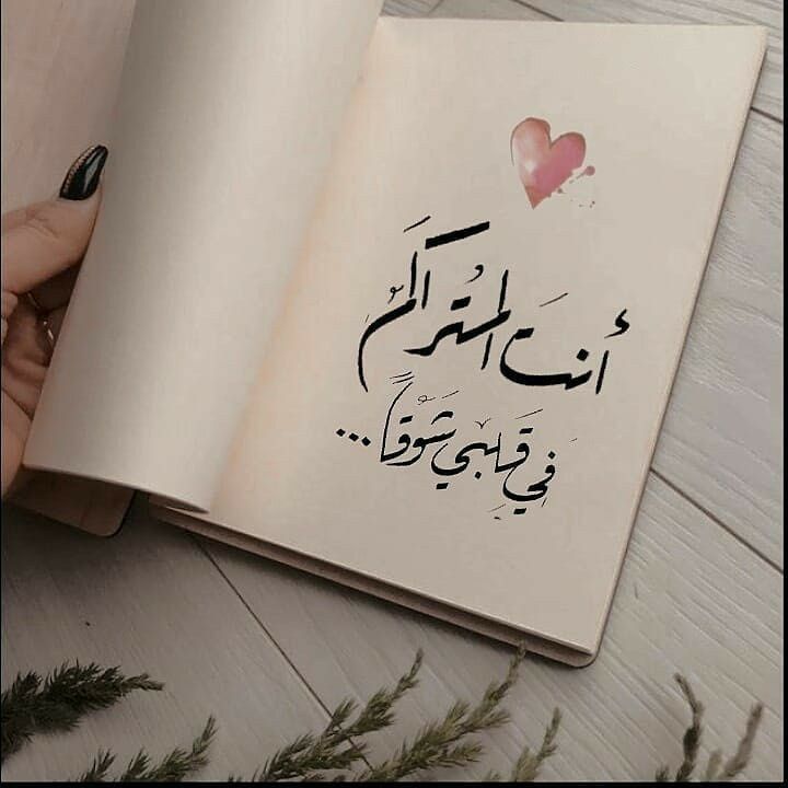 0bblb's tweet image. ֶָ ֶָ أنت المتراكم🩷🦋ֶָ ֶָ