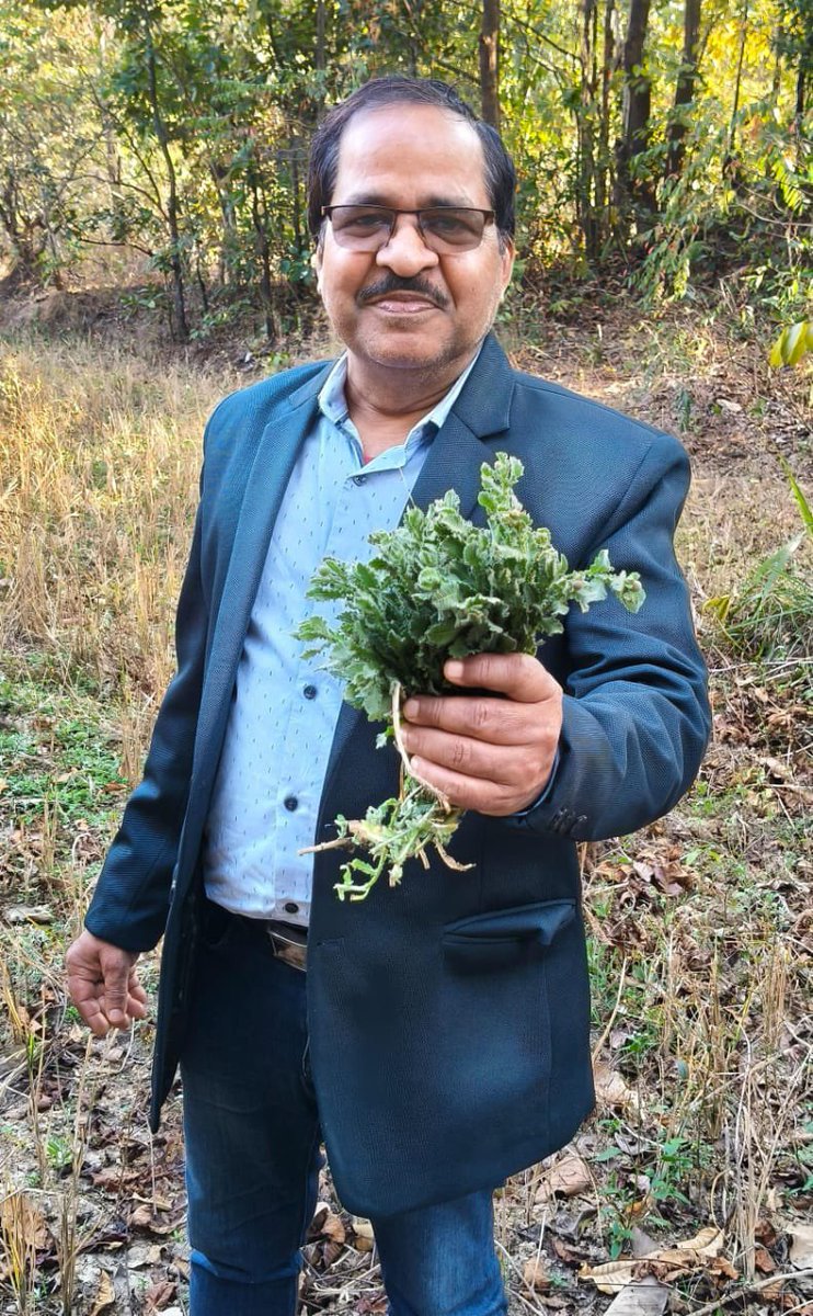 Today, I visited several villages in Sundargarh and the border regions of Odisha–Chhattisgarh, where I had insightful discussions with traditional healers, Ayurvedic doctors, and local community members. During these interactions, I learned about many fascinating ethnomedicinal