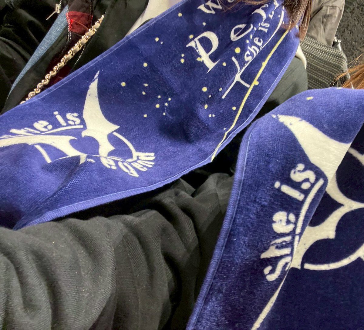 girucompus's tweet photo. #シーレジェライブ2026 https://t.co/umHe725wuY