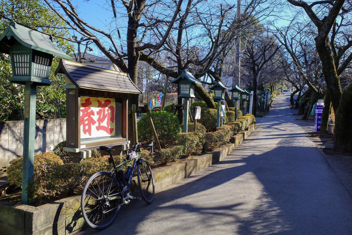 うなくーる tweet media