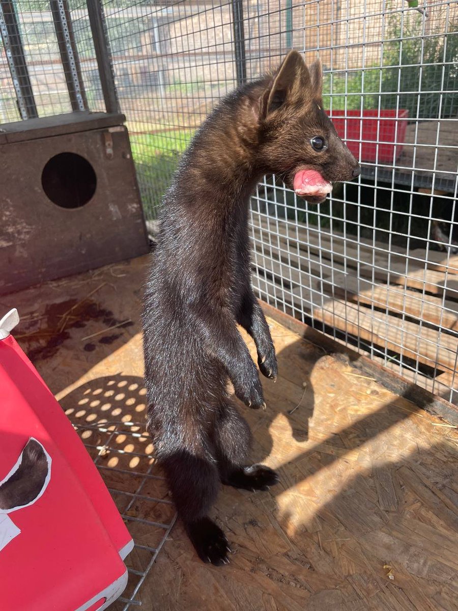 MAWKVLT's tweet image. DAMN!!!!!!!!!!!!!!