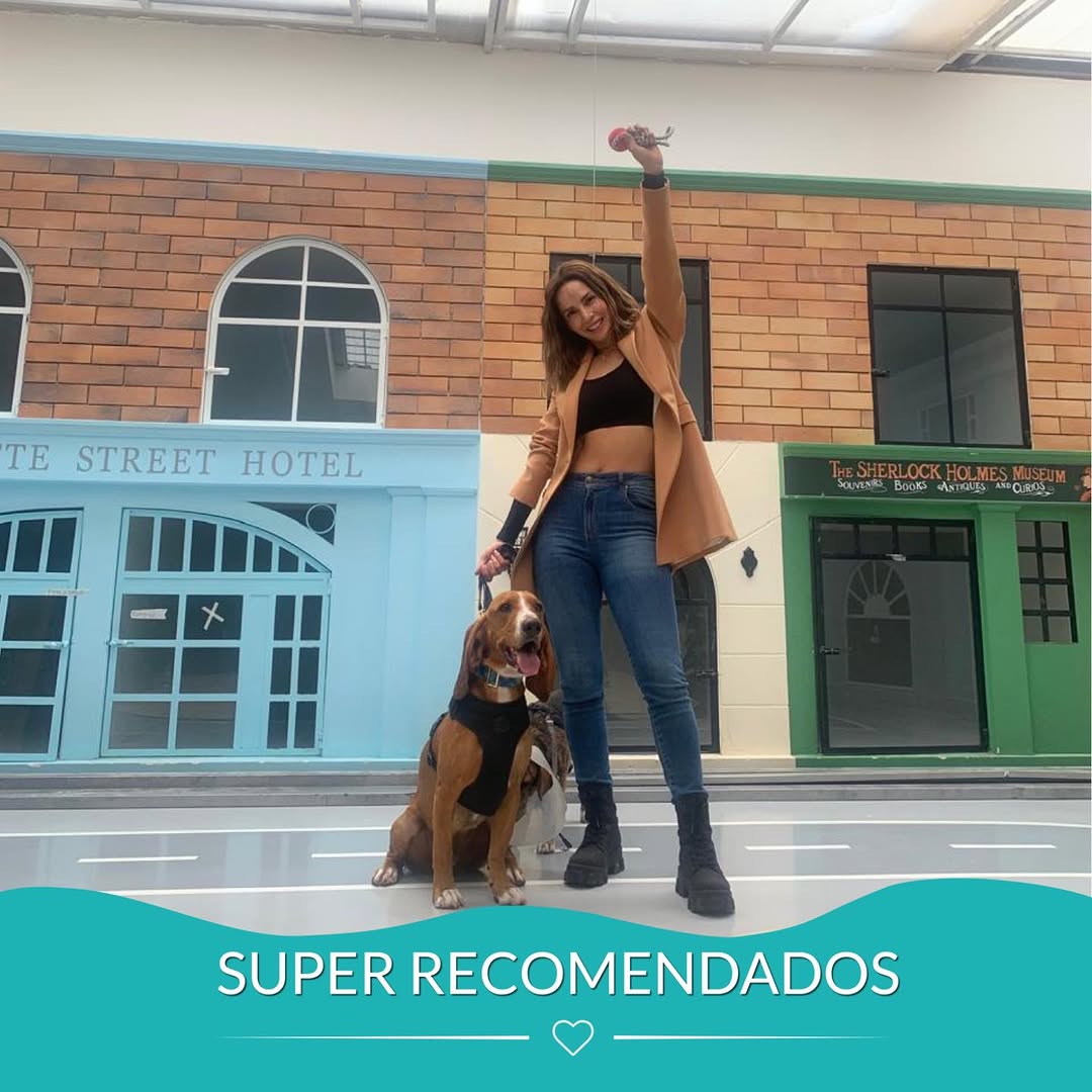 WaggoCo's tweet photo. Estaremos felices de cuidar de tu peludo durante tus vacaciones🚨¡RESERVA AHORA! No pierdas la oportunidad de ofrecerle la mejor estadía♥️🐕
#Waggo #WaggoCo #ColegioCanino #GuarderíaCanina #DogTraining #Bogota #FelizLunes #HotelCaninoUrbano #ProfesionalesCaninos #HotelParaPerros https://t.co/3VGC49FPW3