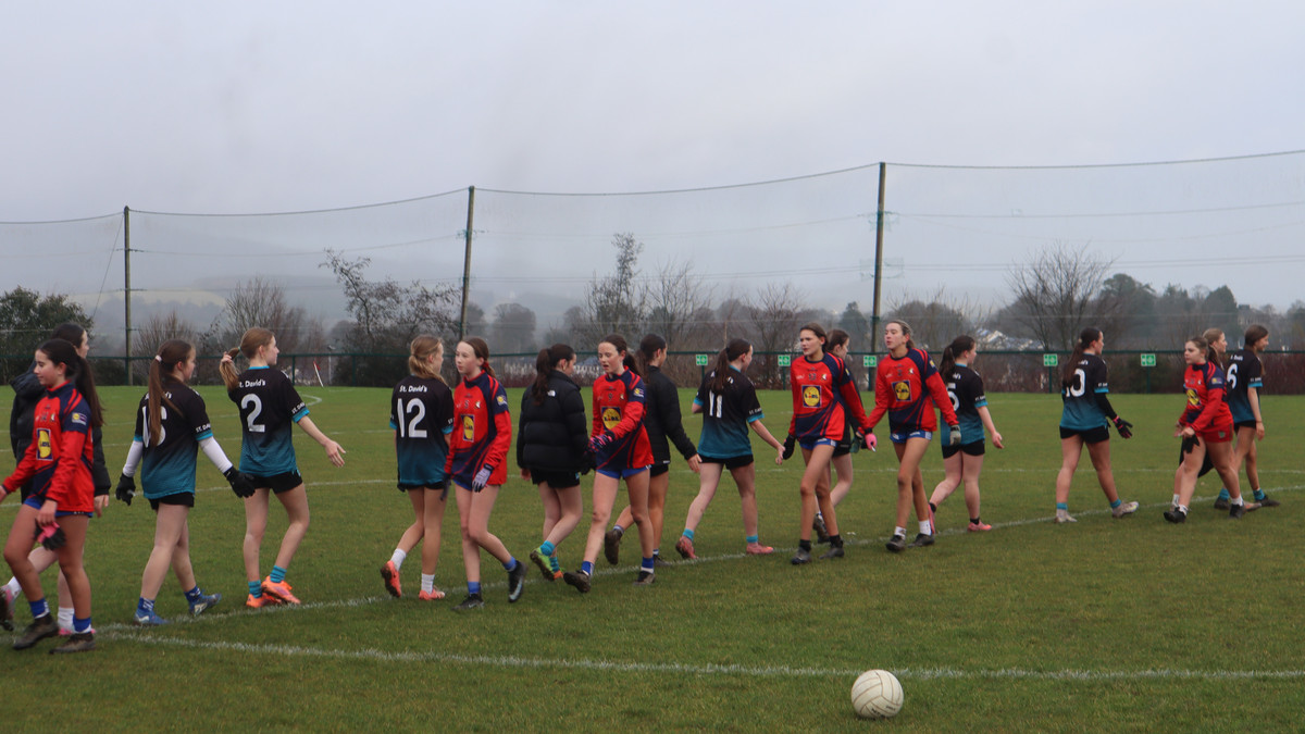 St David's Greystones tweet media