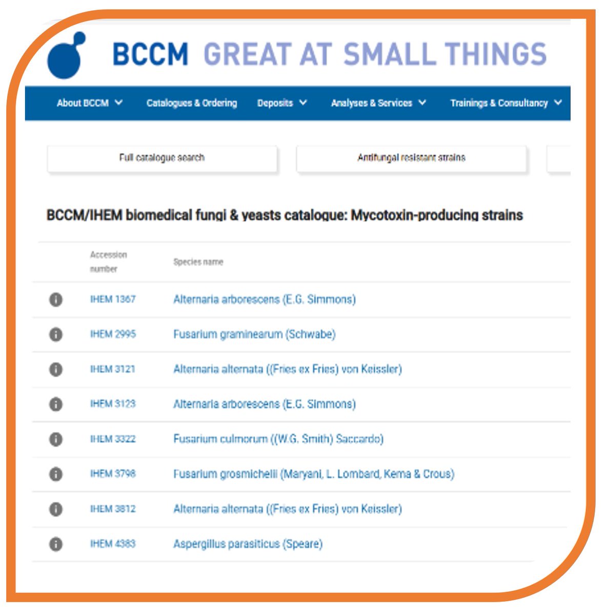 BCCM Collections tweet media