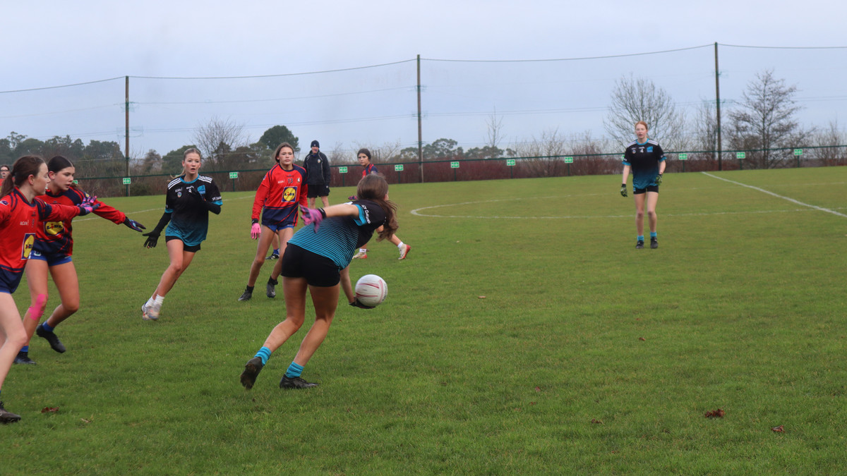 St David's Greystones tweet media