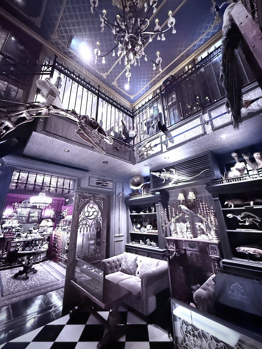 chamberofraven's tweet image. 本日の1日限定物販イベント
「The Raven’s Cabinet」無事終了しました🕯

お越しくださった皆さま、作品をお迎えくださった皆さま、本当にありがとうございました。

CiR:Shue Chloe 様
kemuri装飾店 あき 様
PAViLiON 様
皆様の世界観が館の中で交差して、
“収蔵室”らしい濃密な一日になりました。…