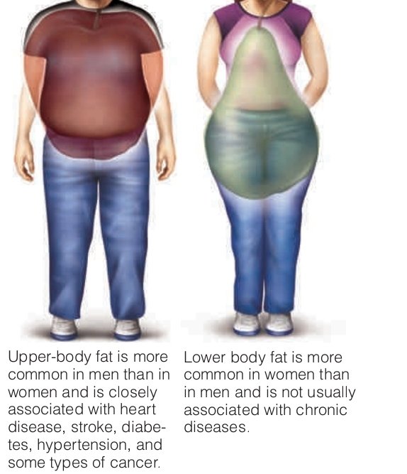 ARE YOU APPLE OR PEAR SHAPED 😊

A person’s waist circumference is the most practical indicator of fat distribution and central obesity. Desirable waist circumference for women is 35 inches, and men should have a waist circumference of equal or less than 40 inches.