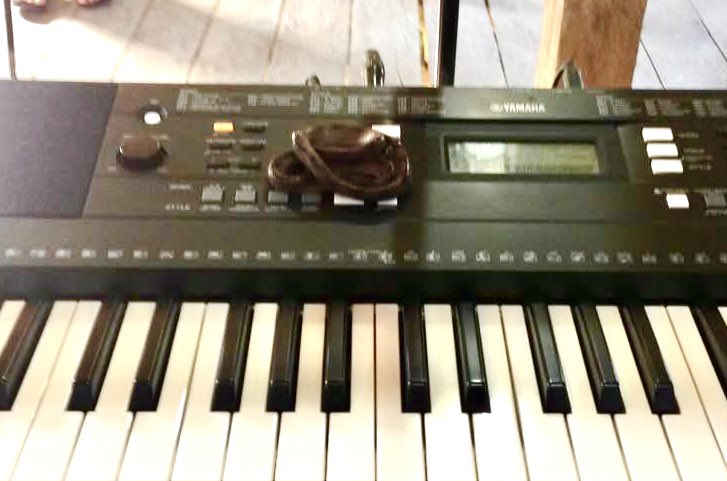 EcMissions's tweet image. Snake on the keyboard? No problem! Lol It’s the jungle missionary life! Never know what we might find in our jungle churches! Tarantulas, bats, snakes, we’ve seen it all! Lol! What an adventure it is reaching souls for Jesus in the Amazon! Glory to God!