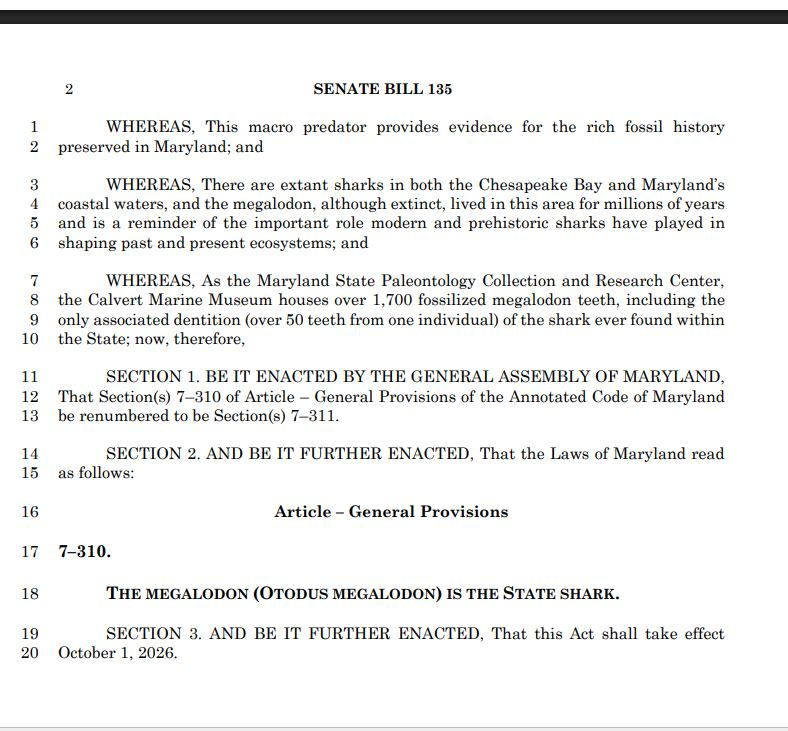 This is coming from a man whose job was once to protect our natural resources. We have so many species of non-extinct sharks in Maryland waters. A state bird, dog, shark, animal should NOT BE EXTINCT.