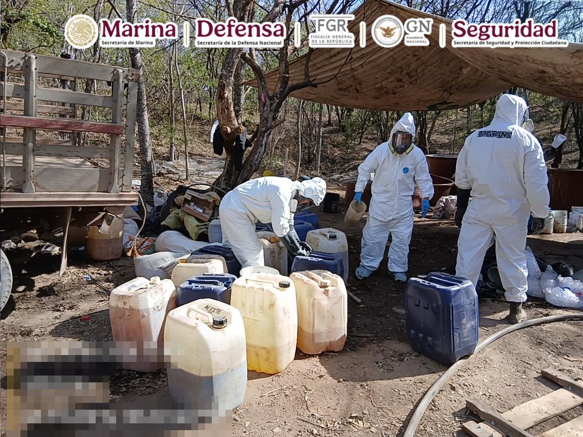 Durango, Sinaloa y Michoacán.  Más de 700 kg de metanfetamina, miles de litros y kilos de precursores químicos, así como equipo especializado fueron asegurados.