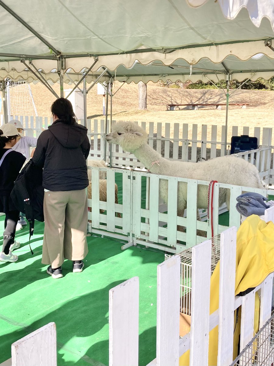 2026年ワークショップ始め、ふれあい動物村ありがとうございました♫
さちやのワークショップを楽しんでもらえてとっても嬉しいです♡♡♡

動物との触れ合いやふわふわアトラクション各種などの体験を求めて、たくさんのご家族がご来場くださいました✨
寒い中ありがとうございました🥰