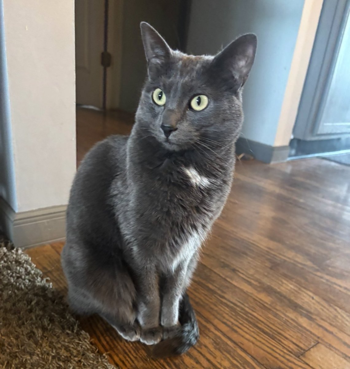 kirsten ✨🌙✨ tweet media