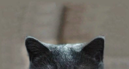 jardelito's tweet image. 