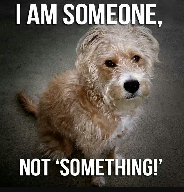 Beyond The Leash tweet media