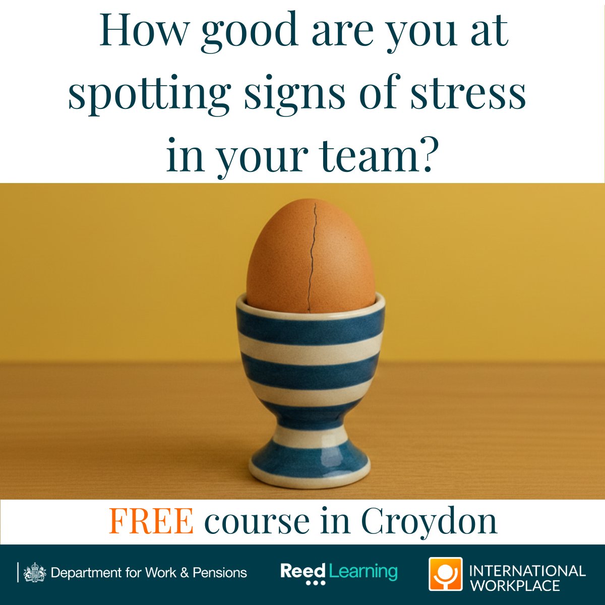 International Workplace tweet media