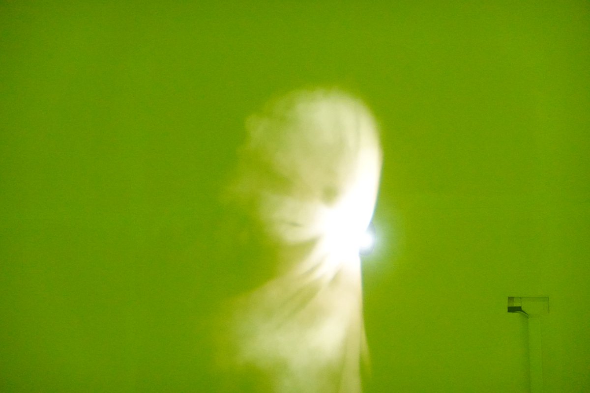 umelabo's tweet image. 多摩美卒制（2025年度）
yep sister[visitor] or another
作者匿名

蒸気にキャラクターが投影？されている。形の定まらない蒸気が支持体になっているからキャラとしての条件を満たさない時間の方が長く、儚さと危うさが強調されていて、色んな意味で驚かされた。