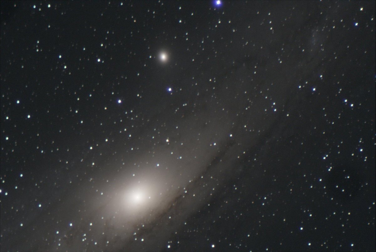 UIS Observatory tweet media