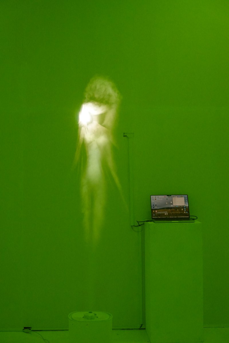 umelabo's tweet image. 多摩美卒制（2025年度）
yep sister[visitor] or another
作者匿名

蒸気にキャラクターが投影？されている。形の定まらない蒸気が支持体になっているからキャラとしての条件を満たさない時間の方が長く、儚さと危うさが強調されていて、色んな意味で驚かされた。