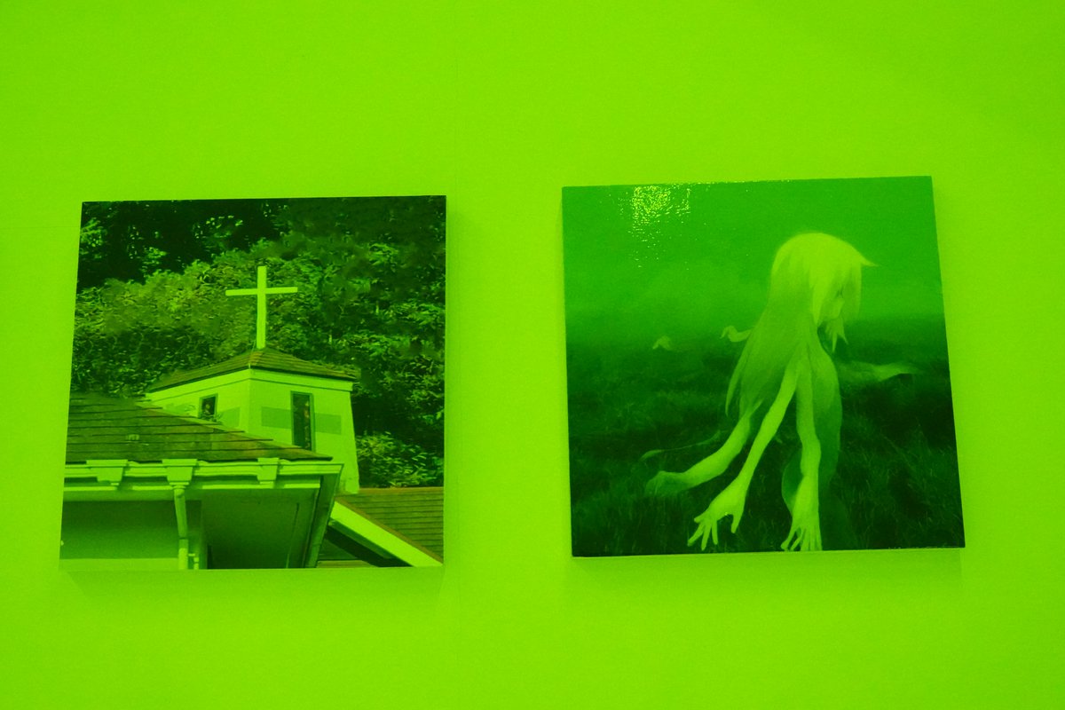 umelabo's tweet image. 多摩美卒制（2025年度）
yep sister[visitor] or another
作者匿名

蒸気にキャラクターが投影？されている。形の定まらない蒸気が支持体になっているからキャラとしての条件を満たさない時間の方が長く、儚さと危うさが強調されていて、色んな意味で驚かされた。