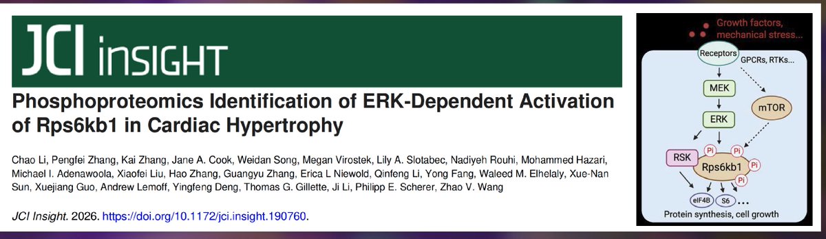 UTSWdiabetes tweet media