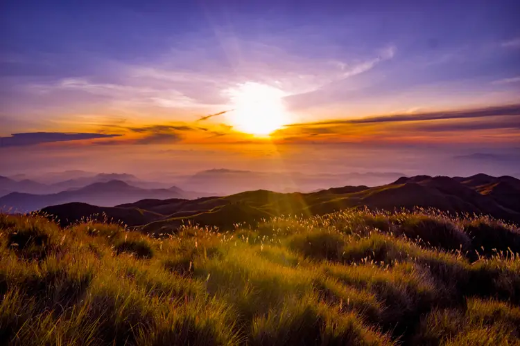 protectedplanet tweet media