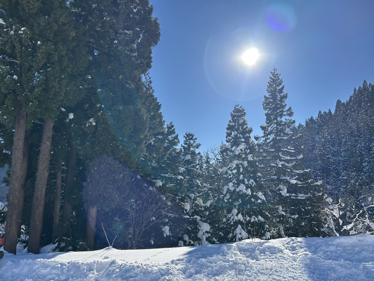 msctoxin's tweet image. 大寒波の予報の中1泊2日で雪山に行ってきた✌️豪雪に見舞われる前に帰ってきたぜ