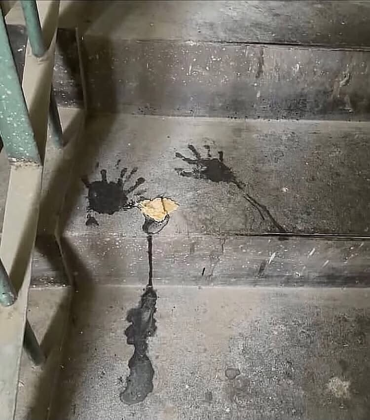 Bích Đào tweet media