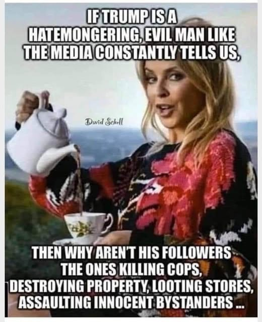 SaltyGoat17's tweet image. Damn good question isn't it?