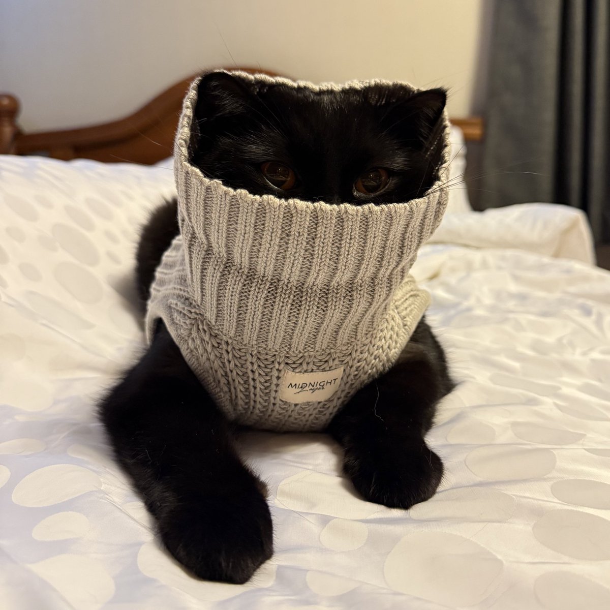 ช่วงนี้หนาวมาก มิวมิวก็รับมือและเตรียมตัวพร้อมอย่างดีค่ะ