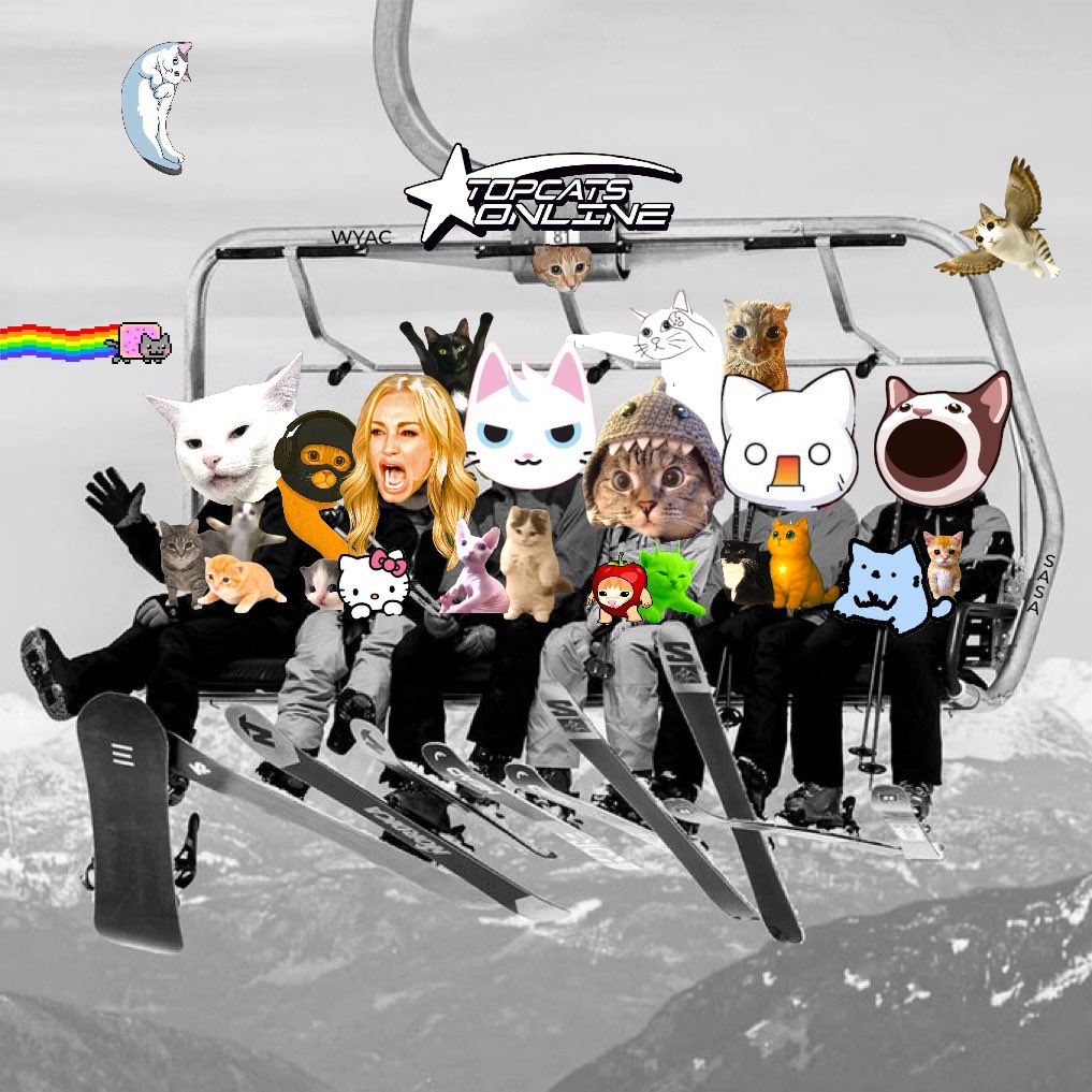 Woman Yelling at Cat tweet media