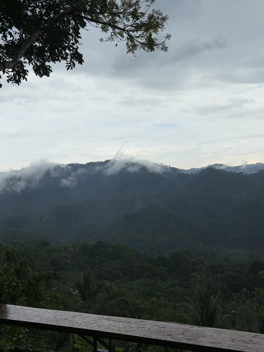 kayin🦖 tweet media