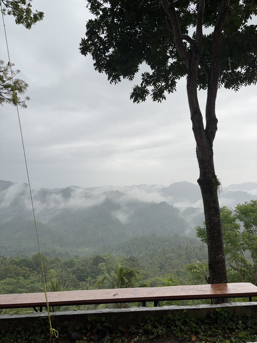 kayin🦖 tweet media