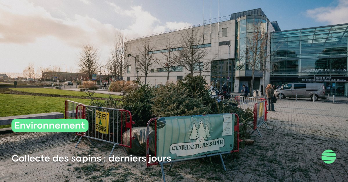 🔵[Collecte des sapins : derniers jours]🌲
La Métropole propose chaque hiver, après les fêtes, plusieurs solutions afin de permettre aux habitants de se débarrasser et de valoriser leur sapin de Noël.

🔗 Retrouvez toutes les informations ➡️ urlr.me/3dkTcx