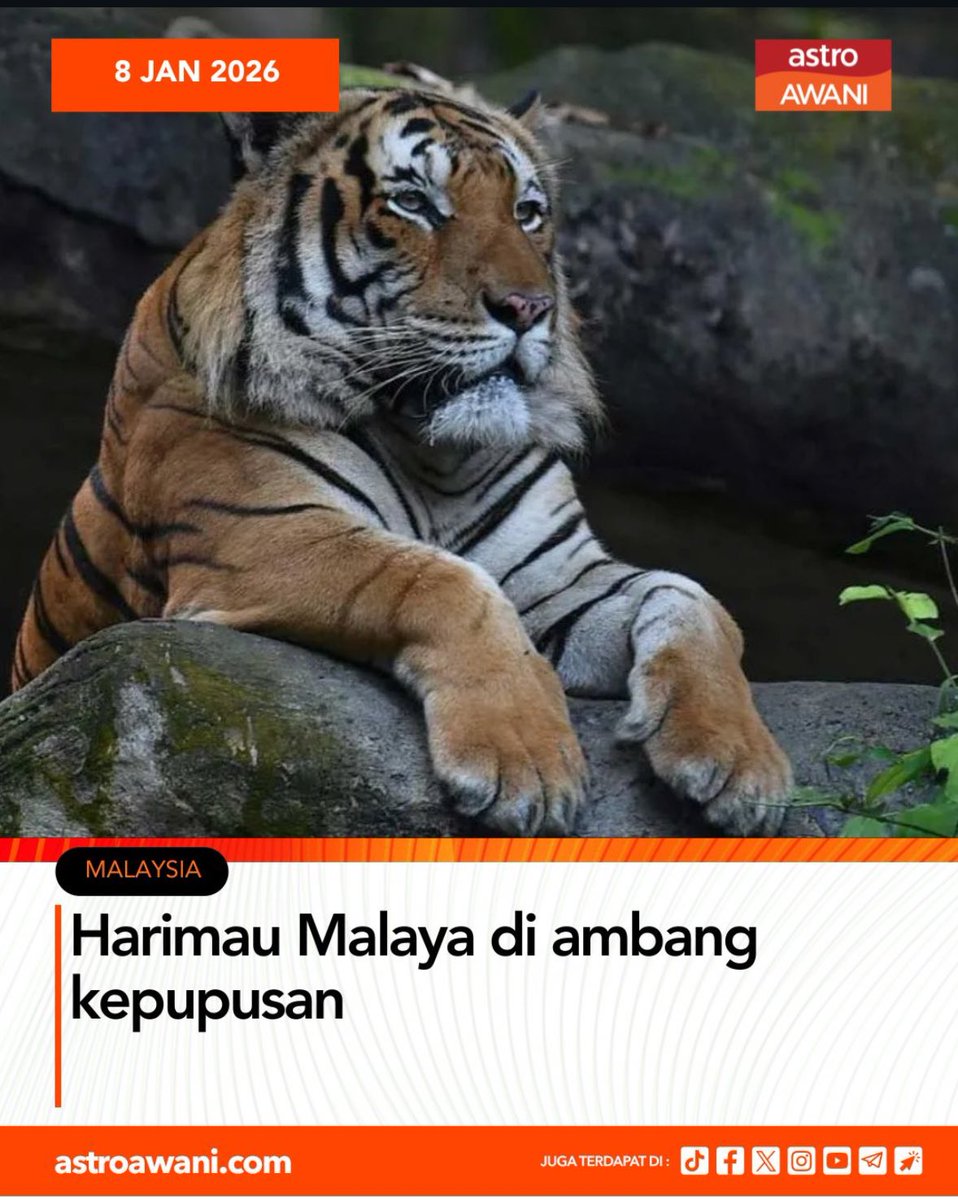 edjunaidi's tweet image. Dua kisah berbeza. Dua nasib berbeza.