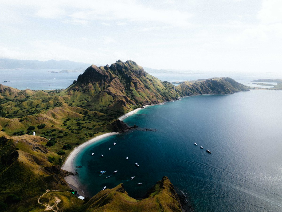 Q U A N T U M T E M P L E tweet media