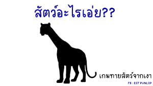 DLJun88TH's tweet image. ทายคำจากภาพนี่คือสัตว์อะไร

ตอบถูกรับโค้ดฟรีไปใช้ทันที 
เฉลยตอน 21.00 น.