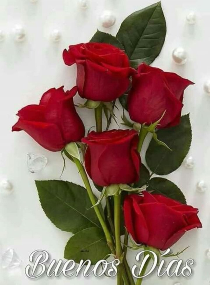 <a href="/Lara_Ceci/">Ceci</a> 
Buenos días Ceci ☕️🌷🤗
Feliz inicio de semana 👍