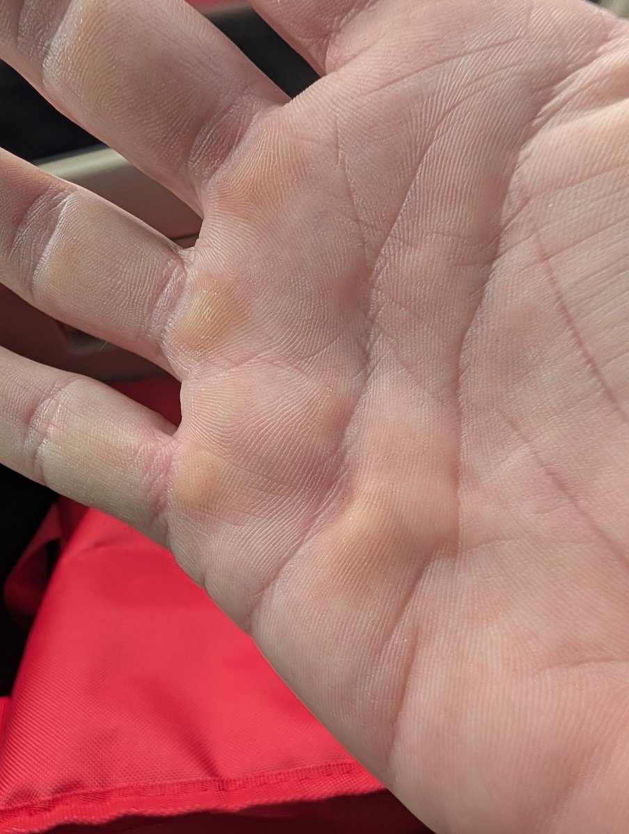 recklessrob1971's tweet image. I AM Remembrance Sophia I Retain &amp;amp; do not Return, Sophia I Retain &amp;amp; do not Return, Sophia I Retain &amp;amp; do not Return. I AM as I AM Presence Divinity in form living expressing experiencing life🧬 untamed. 

Grateful 
Blessings ALL WaYz💞 
We (I) Love You😘 
youtu.be/nsEZ4dEpC-4?si…