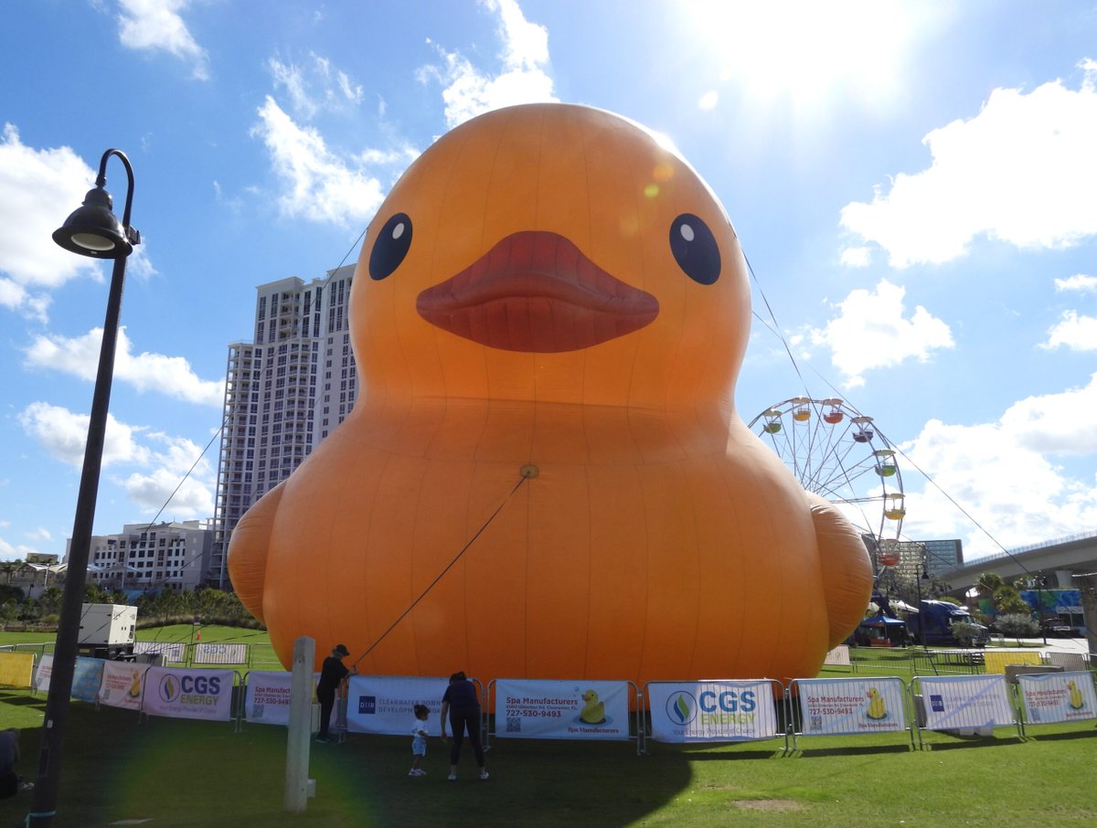 wmnf's tweet image. The world’s largest rubber duck is making a splash on the Florida Gulf Coast, drawing crowds and smiles as it floats into town. 

Check out the full story below
#wmnf #clearwater #rubberduck #communitynews #thingstodo