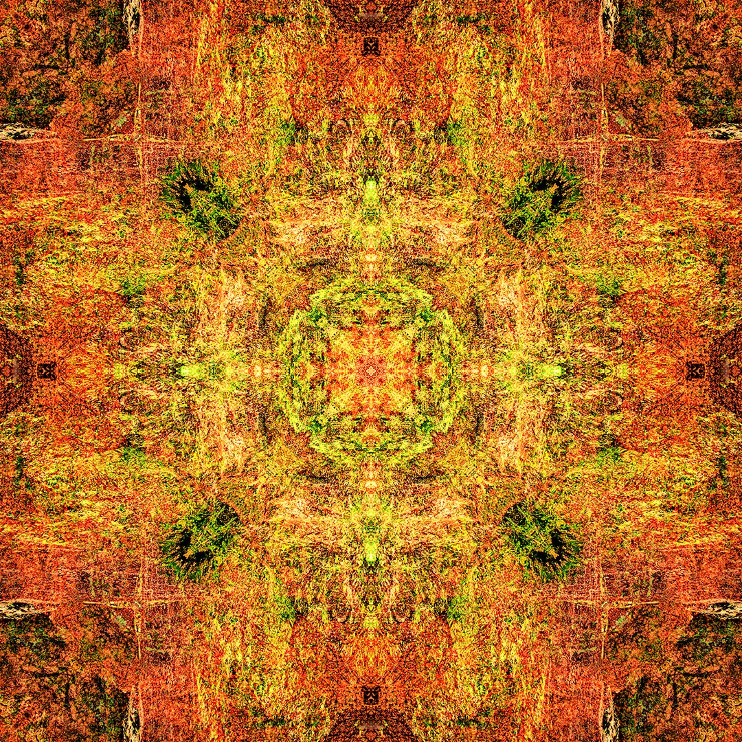 LeeVaris's tweet image. bobbiandleesphotoadventures with #mandalamonday – photo-mandala created from a single "seed" image... 2nd image is the "seed"

#artphotography
#fineartphotography
#contemporaryphotography
#symmetry
#abstract
#expressionist
#graphic