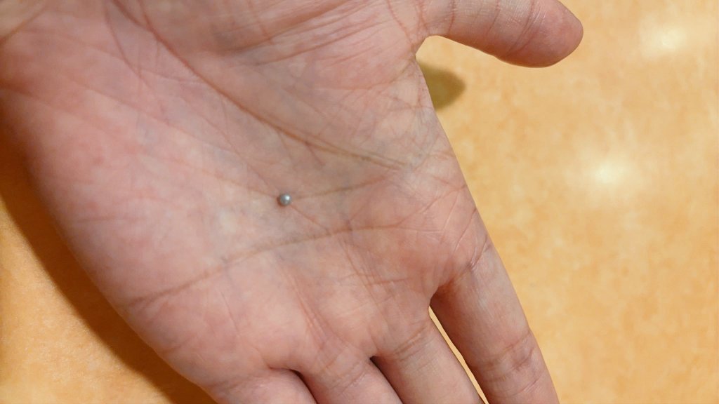 Re_na003's tweet image. サイゼでムール貝食べてたら真珠出てきてえぐい