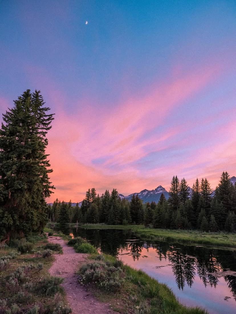 seraphicxc's tweet image. 