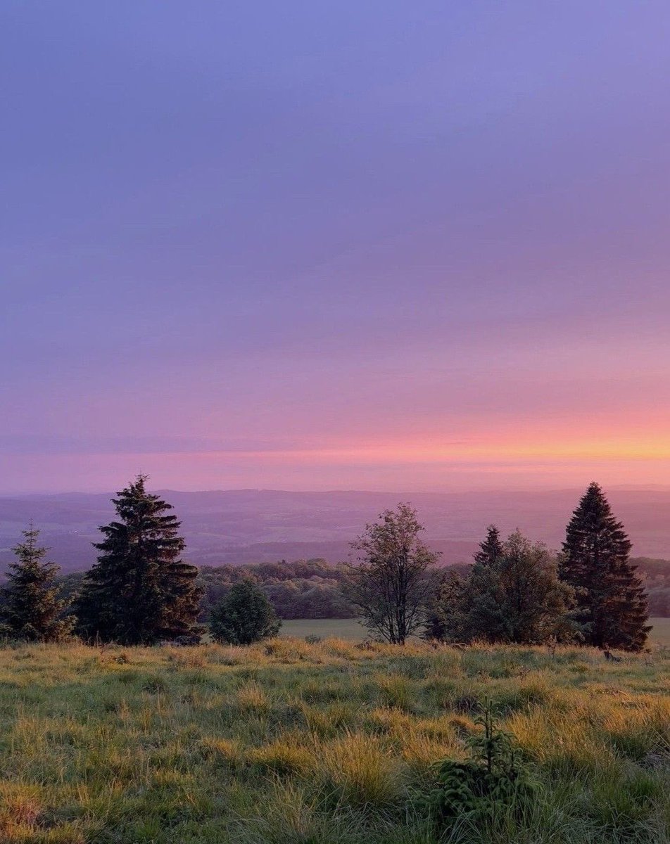 seraphicxc's tweet image. 