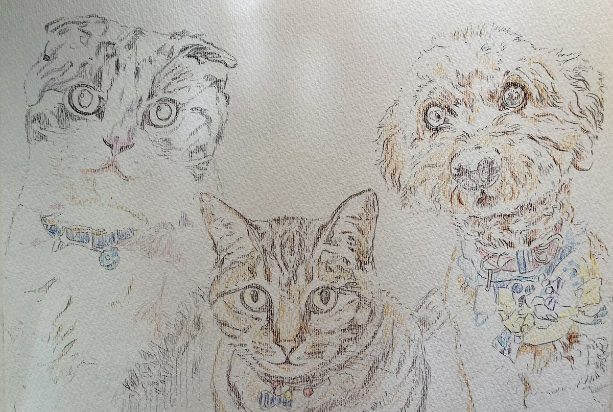 ペット似顔絵】製作依頼品 店舗にて実演製作していた時にお立ち寄り