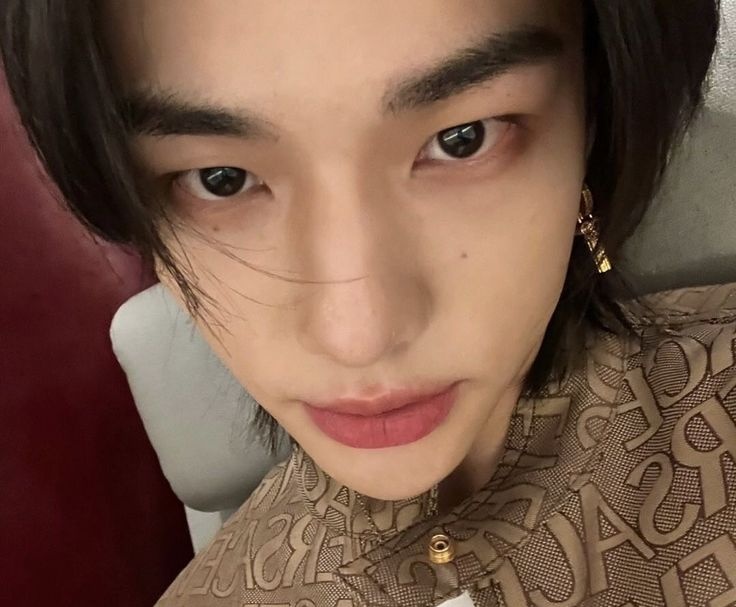 hearthyunin_'s tweet image. oh i love this hyunjin