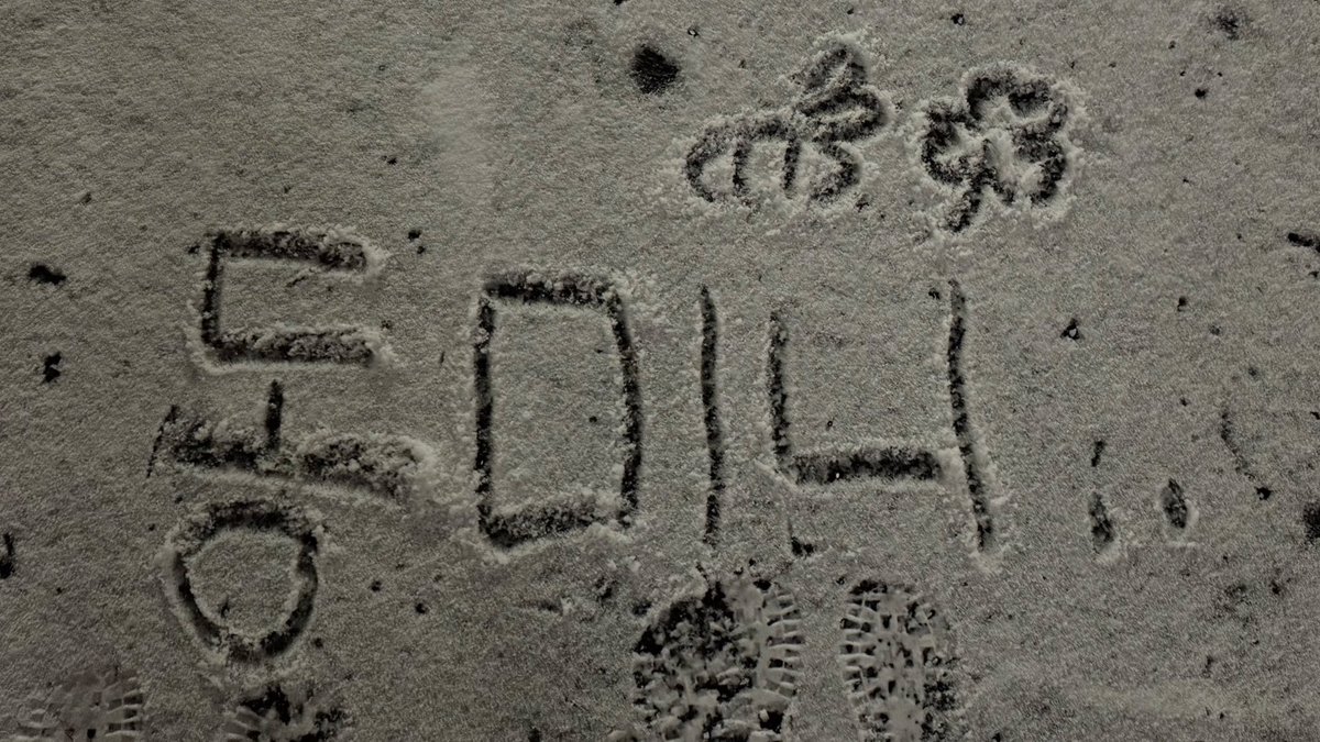 C♡r •｡ tweet media